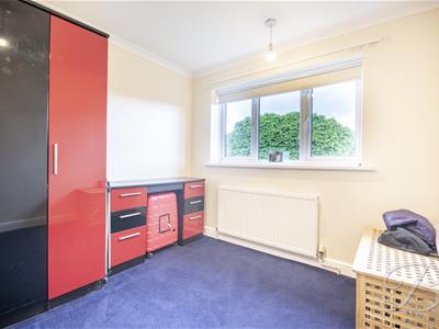 Picture 29